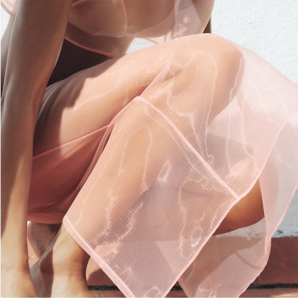 Zara organza top/skirt